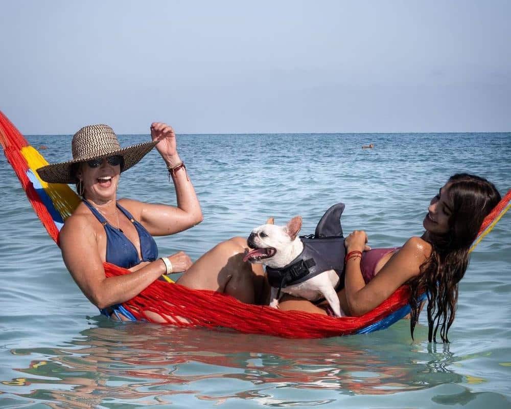 Isla Palma desde Cartagena - Image 19