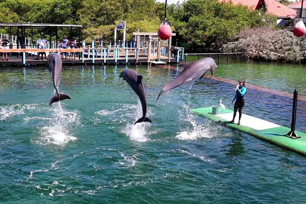 Tour 4 Destinos + Oceanario - Image 3