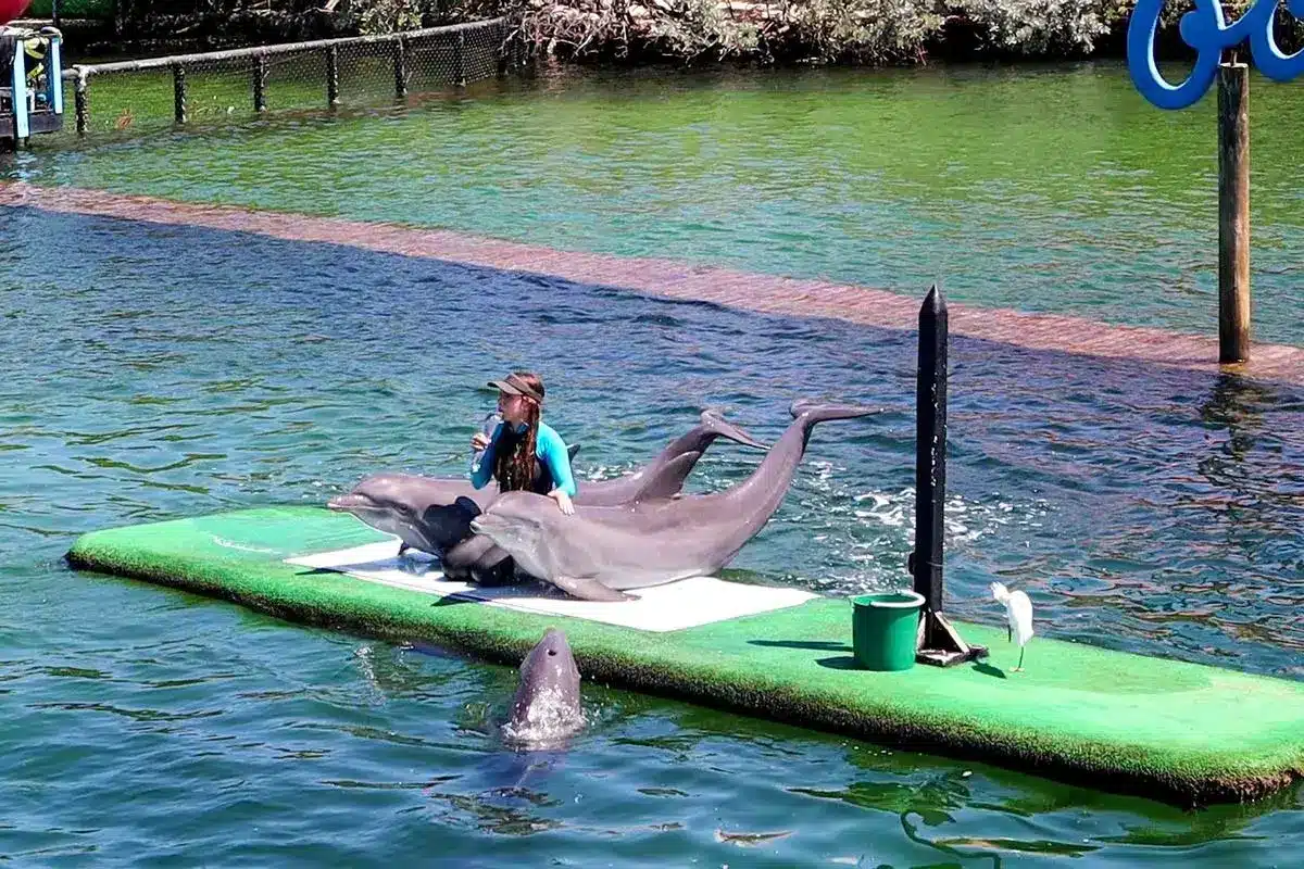 Tour 4 Destinos + Oceanario - Image 2