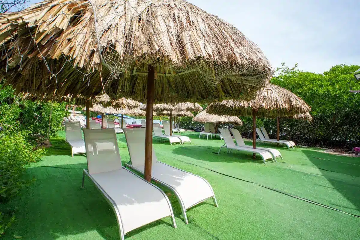 Coco Loco Beach - Image 6